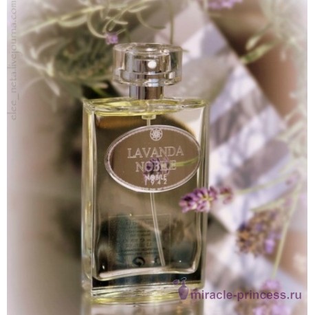 Nobile 1942 Lavanda Nobile 22