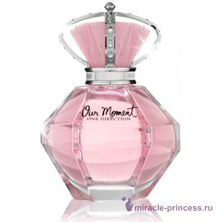 One Direction Our Moment 11