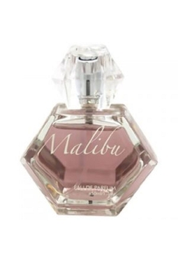 Pamela Anderson Malibu Night