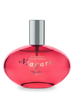 Parfums Genty Niagara Night