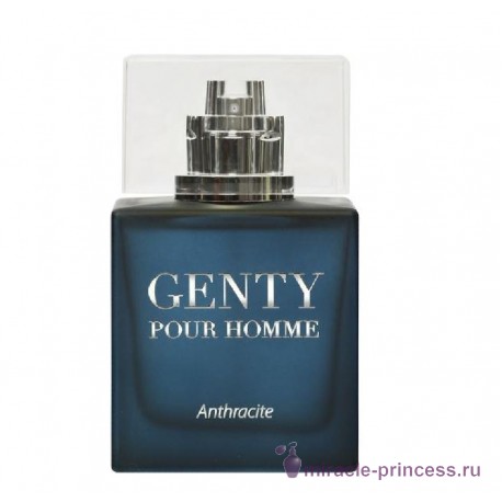 Parfums Genty Pour Homme Anthracite 11