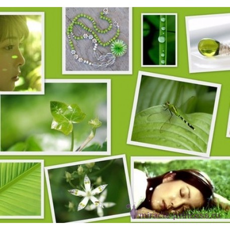 Parfums Genty Satomi Green 22