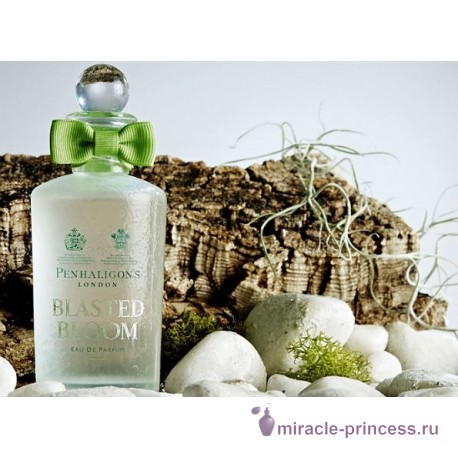 Penhaligon's Blasted Bloom 22