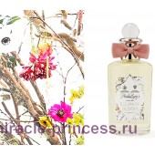 Penhaligon's Equinox Bloom