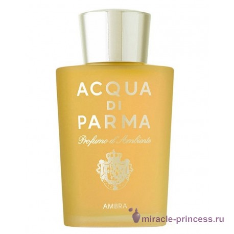 Acqua di Parma Profumo d`Ambiente Ambra 11