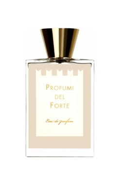 Profumi del Forte Vetiver Moderno