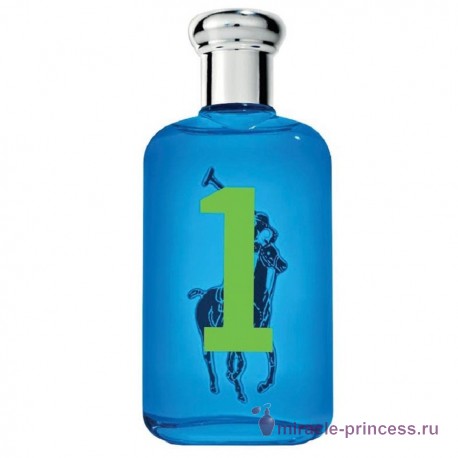 Ralph Lauren Big Pony 1 for Women 11