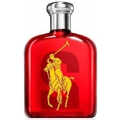 Ralph Lauren Big Pony 2