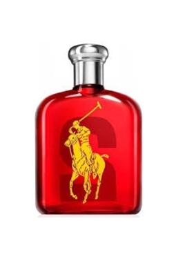 Ralph Lauren Big Pony 2