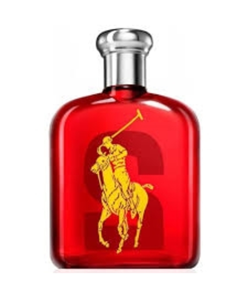 Ralph Lauren Big Pony 2