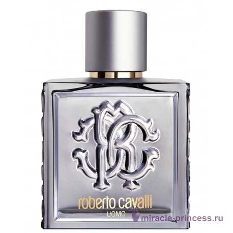 Roberto Cavalli Uomo Silver Essence 11