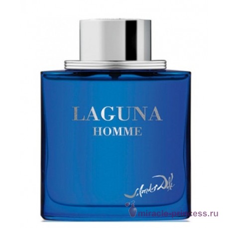 Salvador Dali Laguna Pour Homme 11