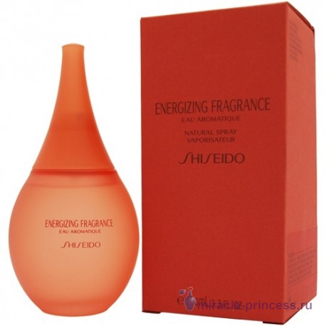 Shiseido Energizing 22