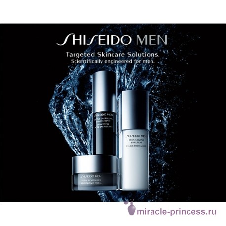 Shiseido Shiseido Men 22