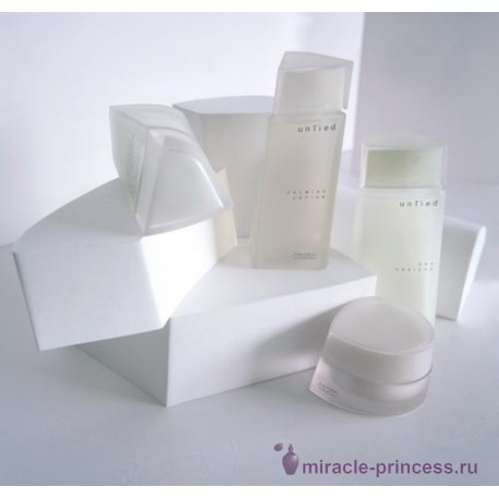 Shiseido Untied 22