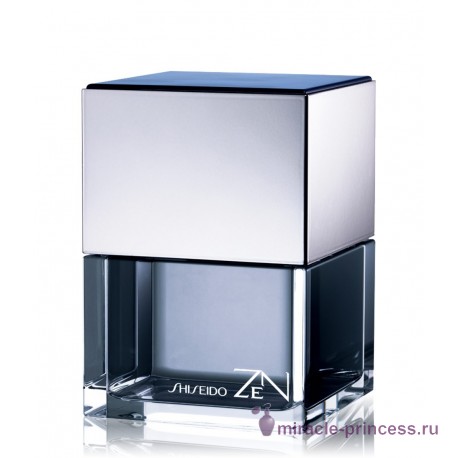 Shiseido Zen Men 11