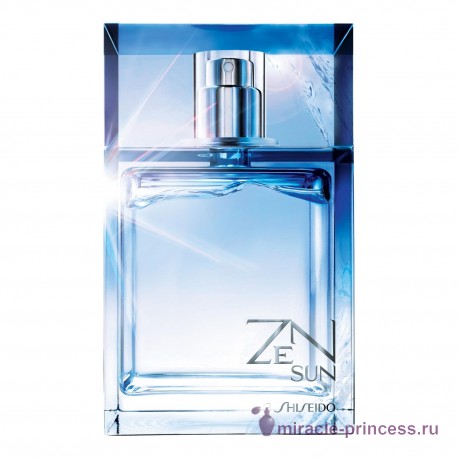 Shiseido Zen Sun for Men 11