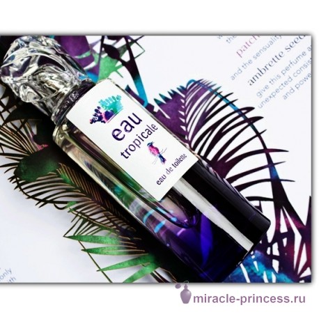 Sisley Eau Tropicale 22