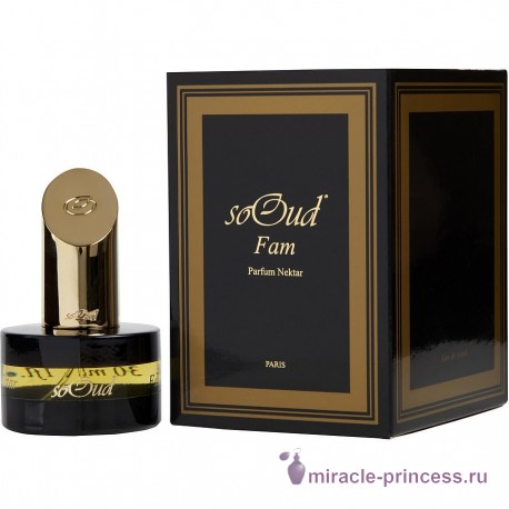 SoOud Fam Parfum Nektar 22