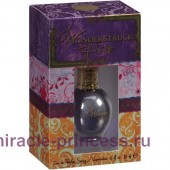 Taylor Swift Wonderstruck