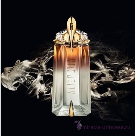 Thierry Mugler Alien Musc Mysterieux 22