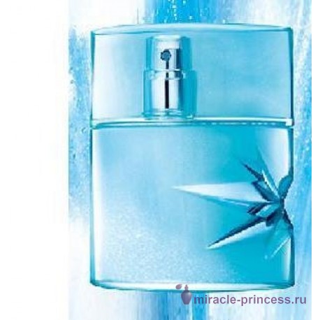 Thierry Mugler Ice Men 22