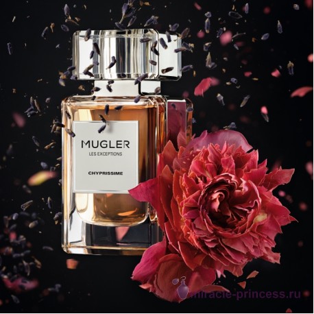 Thierry Mugler Les Exceptions Chyprissime 22