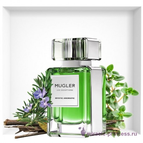 Thierry Mugler Mystic Aromatic 22