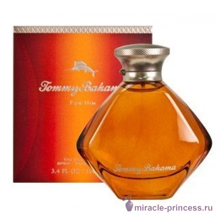 Tommy Bahama Cognac 22