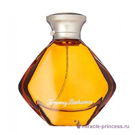 Tommy Bahama Cognac 11