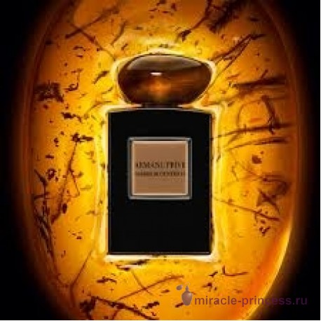 Giorgio Armani Armani Prive Ambre Eccentrico 22