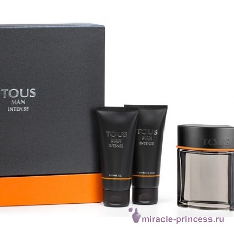 Tous Parfum Tous Man Intense 22