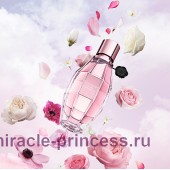 Viktor & Rolf Flowerbomb Bloom