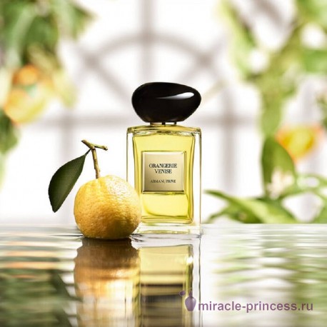 Giorgio Armani Orangerie Venise 22