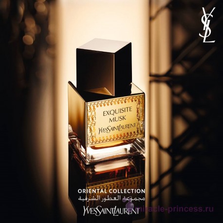 Yves Saint Laurent Exquisite Musk 22