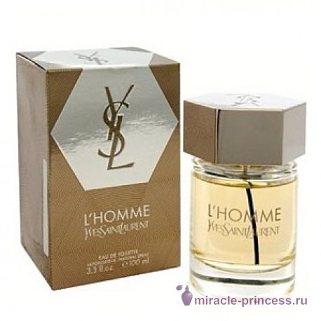 Yves Saint Laurent L Homme 22