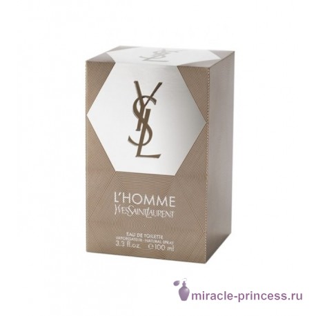 Yves Saint Laurent L Homme 22