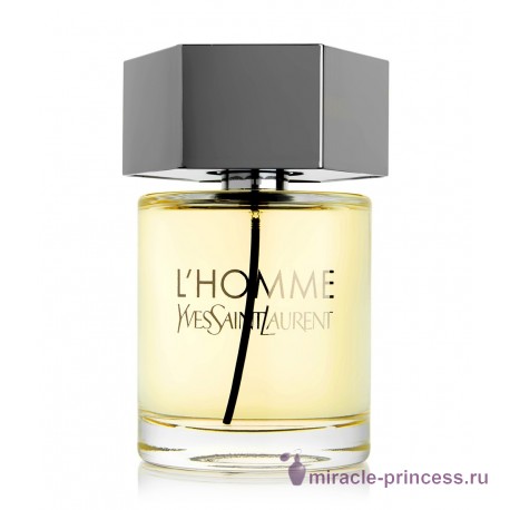 Yves Saint Laurent L Homme 11