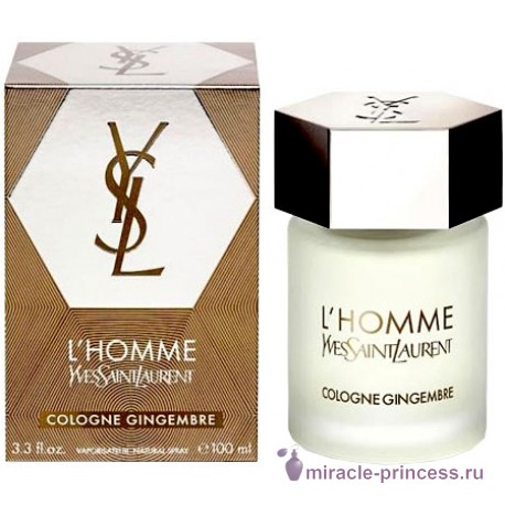 Yves Saint Laurent L`Homme Cologne Gingembre 22