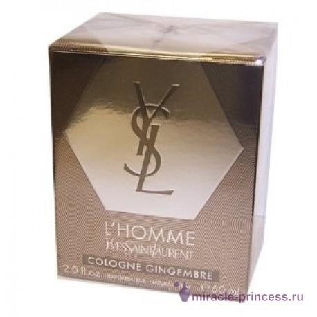 Yves Saint Laurent L`Homme Cologne Gingembre 22