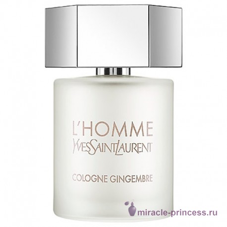 Yves Saint Laurent L`Homme Cologne Gingembre 11