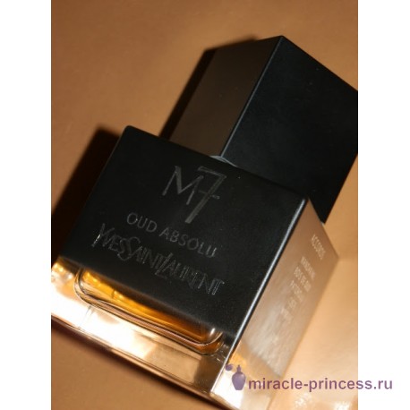 Yves Saint Laurent La Collection M7 Oud Absolu 22