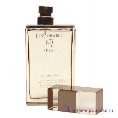 Yves Saint Laurent M7 Fresh 22