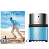 Banana Republic Wildblue Aqua