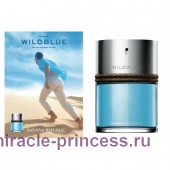 Banana Republic Wildblue