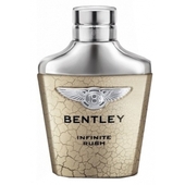 Bentley Infinite Rush