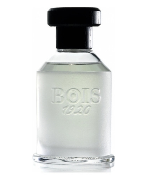 Bois 1920 Ancora Amore