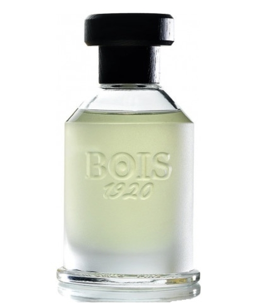 Bois 1920 Youth Magia