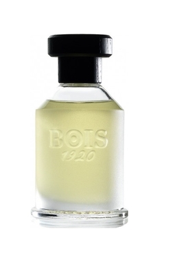 Bois 1920 Youth Rosa 23