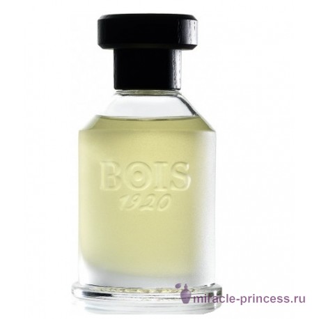 Bois 1920 Youth Rosa 23 11